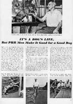 PRR "It's A Dog's Life," Page 17, 1953